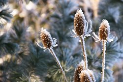 03 10-Feb-13 09-10-09 D300 024